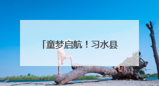 童梦启航！习水县三岔河镇中心幼儿园开展2025年幼小衔接系列活动